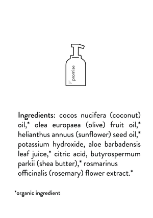Unscented Foaming Soap Subscription